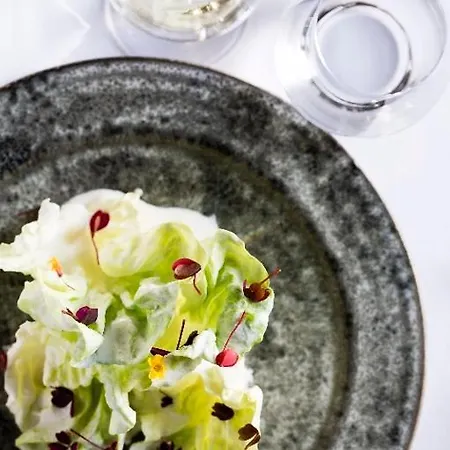And Restaurant Fru Larsen 4* Kongstrup